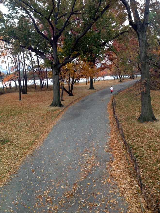 A tree-lined path in a park on a beautiful fall day with the jogger running.